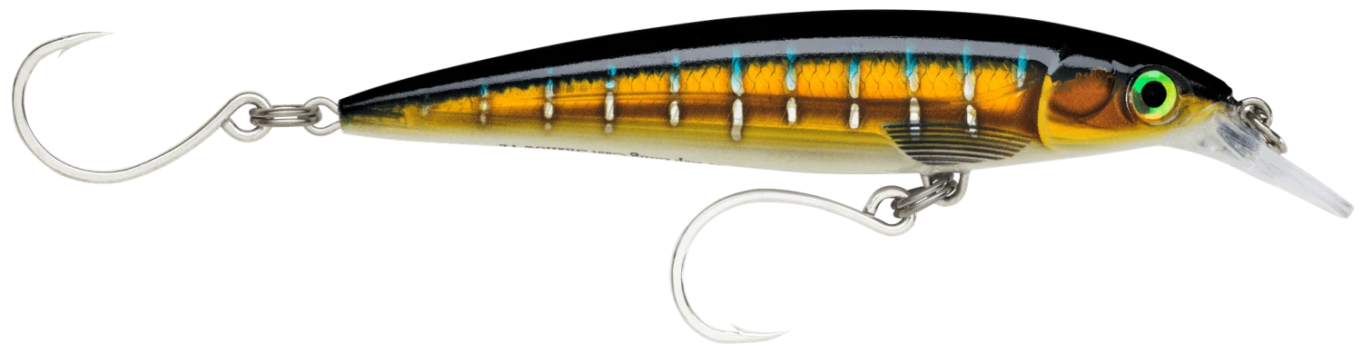 RAPALA X-RAP LONG CAST 12CM HD 9 RAPALA X-RAP LONG CAST 12CM HD - Image 9