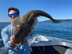 Zman Herculez 5″ Swimbait 6 Zman Herculez 5″ Swimbait -Fishing Gear Shop full 3616 Cronin 220223 Flathead HerculeZ 1