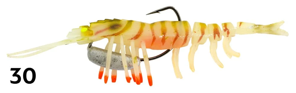 ZEREK LIVE SHRIMP HOT LEGS 4″ 7 ZEREK LIVE SHRIMP HOT LEGS 4″ - Image 7