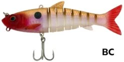 Zerek Live Swimbait 8″ -Fishing Gear Shop full 4137 SwimbaitBC
