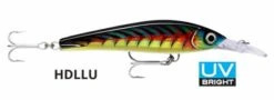RAPALA X-RAP MAGNUM X-EXTREME 16CM -Fishing Gear Shop hdllu