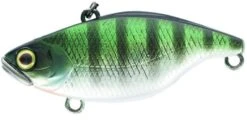 Jackall TN60 Lure -Fishing Gear Shop hl bluegill 1
