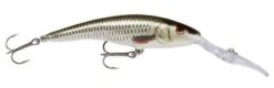 RAPALA DEEP TAIL DANCER 11CM 12 RAPALA DEEP TAIL DANCER 11CM -Fishing Gear Shop roach