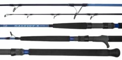 Daiwa Saltist X Rod