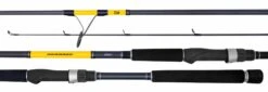 Daiwa Seabass Rod