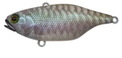 Jackall TN60 Lure -Fishing Gear Shop sk pearl king 1