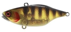 Jackall TN60 Lure -Fishing Gear Shop tn60 ghost black yellow 1stripes