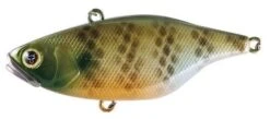 Jackall TN60 Lure -Fishing Gear Shop tn60 sk natural gill 3