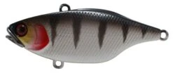 Jackall TN60 Lure -Fishing Gear Shop tn60 striper 1
