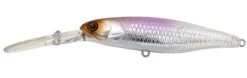 Jackall Squirell 79mm Hank Tune Silent DD -Fishing Gear Shop uroko vision wakasaki scaled 1