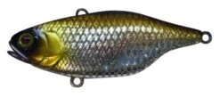 Jackall TN60 Lure -Fishing Gear Shop uroko shad 2