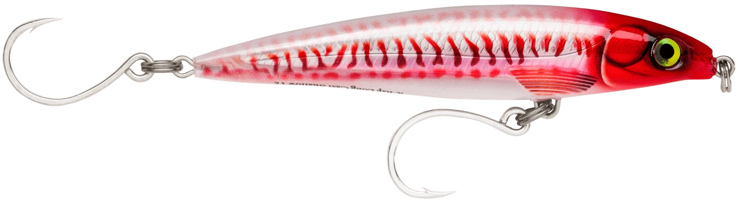 RAPALA X-RAP LONG CAST SHALLOW 14CM HD 2 RAPALA X-RAP LONG CAST SHALLOW 14CM HD - Image 2